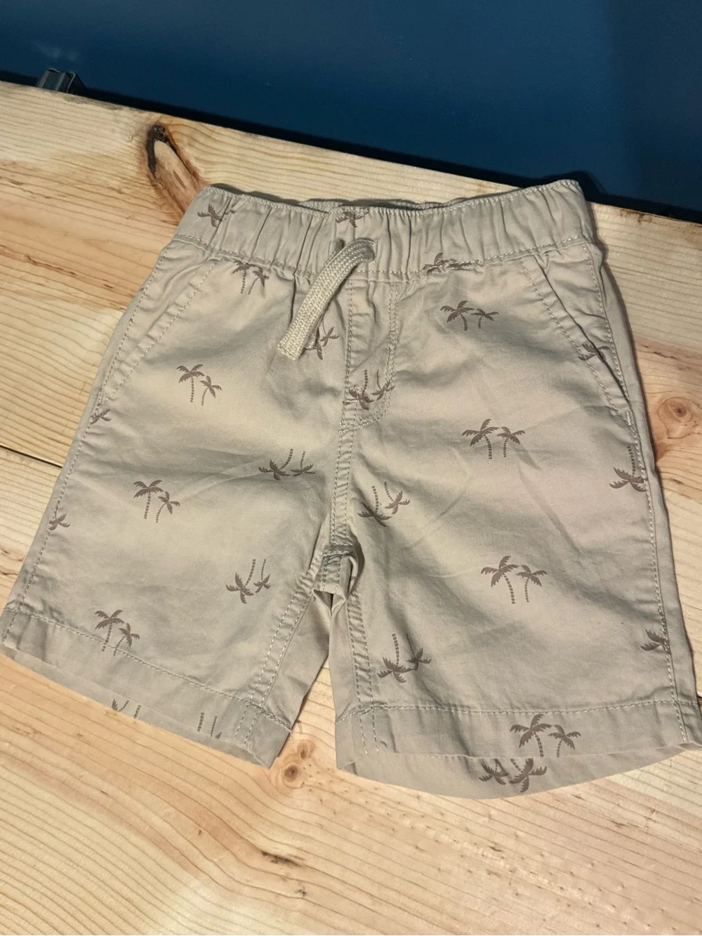 NWT 2T The Children’s Place Shorts